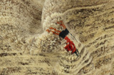 Gabbeh - Qashqai Perser Teppich 156x99 - Abbildung 7