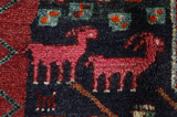 Jaf - Kurdi Perser Teppich 224x151 - Abbildung 5