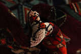 Yalameh - Qashqai Perser Teppich 255x150 - Abbildung 7